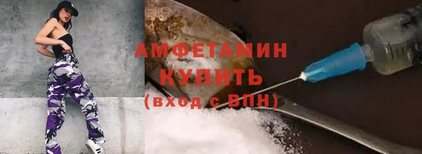 прущие крисы Няндома