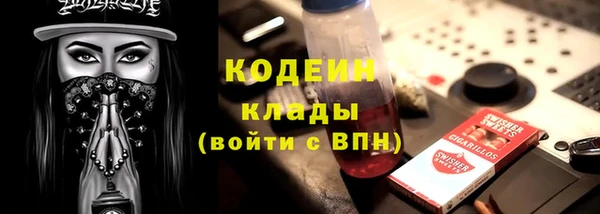 прущие крисы Няндома