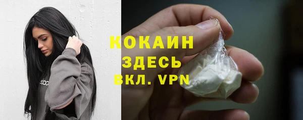 прущие крисы Няндома