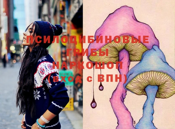 прущие крисы Няндома