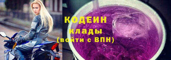 прущие крисы Няндома
