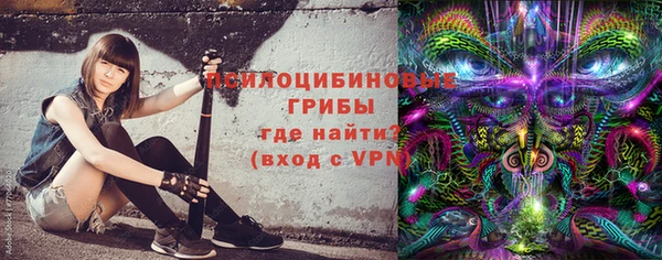 прущие крисы Няндома